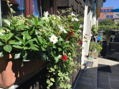 a bush of flowers on the side of a building at Pension Haus Sanz in Vienna