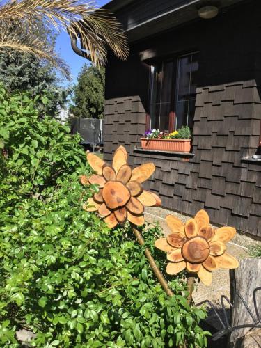 two flowers on a bush in front of a house at Pension Haus Sanz in Vienna