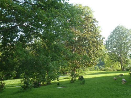Photo de la galerie de l'établissement Domaine Abartiague, à Ossès