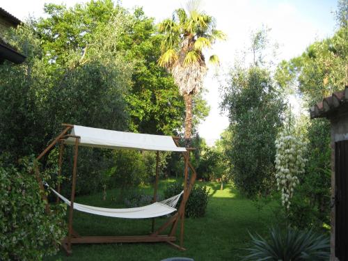 a hammock in a yard with a palm tree at Giannetti Bed & Breakfast in Poggio alle Mura