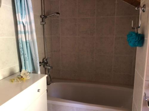 a bathroom with a bath tub with a shower at Holiday home Villa Kastel in Korčula