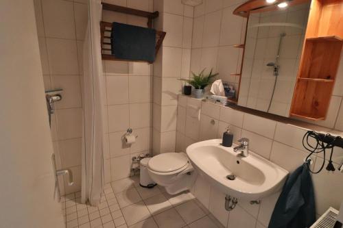 uma casa de banho com um WC e um lavatório em Freundliche Ferienwohnung direkt hinter dem Deich em Friedrichskoog
