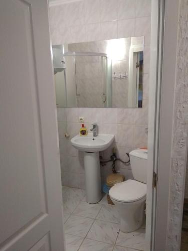a bathroom with a sink and a toilet and a mirror at Студия в Центре СКАЛА in Khmelnytskyi