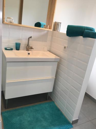 une salle de bain avec un lavabo et un miroir dans l'établissement Gite-Grand studio contemporain proche Toulouse dans domaine Equestre, à Bouloc