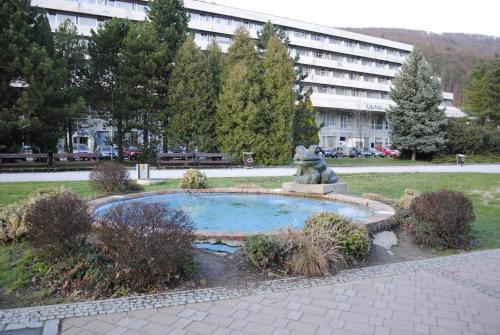 Kolam renang di atau dekat dengan PIKK Trenčianske Teplice