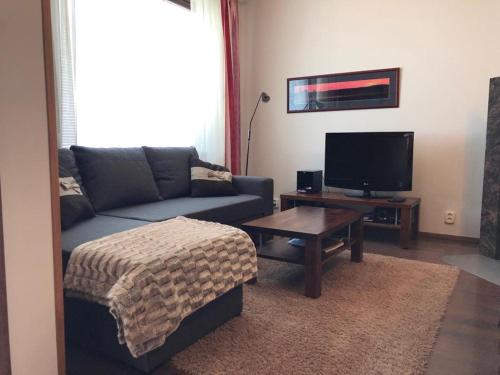 a living room with a couch and a tv at Villa Ylläs 101 in Ylläsjärvi