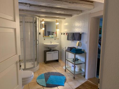 ein Bad mit einem Waschbecken und einem WC in der Unterkunft Ferienwohnung Sambachhaus in Gleiszellen-Gleishorbach