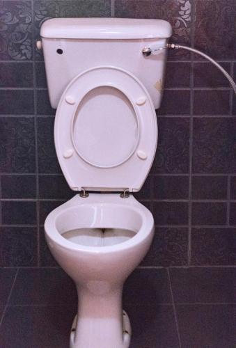 a white toilet in a bathroom with a hose at Olina Hotel and Apartments Kampala in Kampala