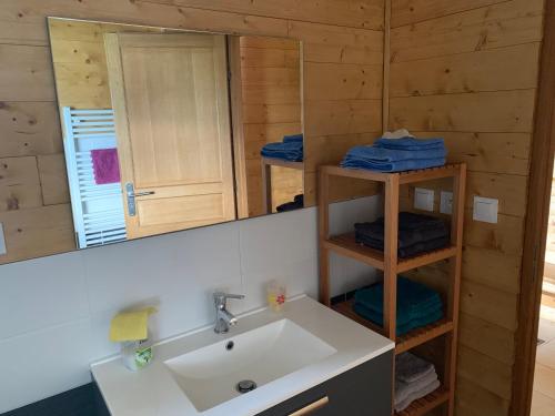 a bathroom with a sink and a mirror at Les Rottes, bas ferme proche Morillon Samoens avec SPA in Verchaix