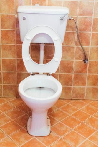 a toilet with the seat up in a bathroom at Olina Hotel and Apartments Kampala in Kampala