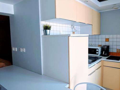 a kitchen with a white refrigerator and a microwave at Studio calme et confortable proche de Saint-Chamond in LʼHorme