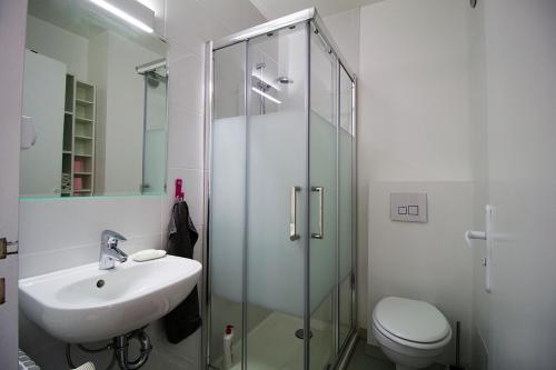 La salle de bains est pourvue d'une douche, d'un lavabo et de toilettes. dans l'établissement Studio lumineux avec vue sur le massif du Mont-Blanc, à Chamonix-Mont-Blanc