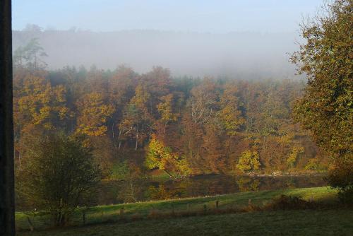 a view of a forest with fall foliage at vakantiehuis met hottub en zicht op de Semois in Herbeumont