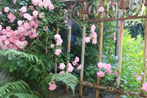 Villa Bergmannにある庭