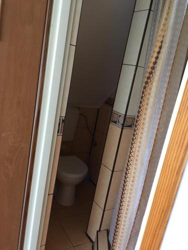 a bathroom with a toilet and a shower curtain at Pokoje u Bożeny i Zbyszka in Lipie