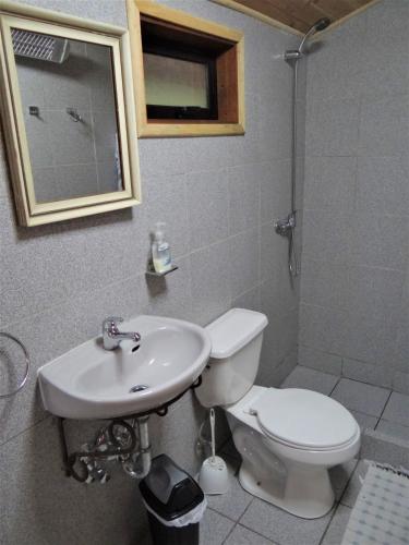 a bathroom with a toilet and a sink at Huincaterra in Villarrica