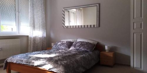 um quarto com uma cama, um espelho e uma janela em Apartment Leśniczówka em Radom