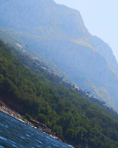 a hill with trees and water and a mountain at Apartments Dragišić in Sveti Stefan