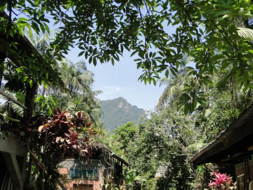 a view of a mountain through the trees at Pousada do Oasis in Morretes