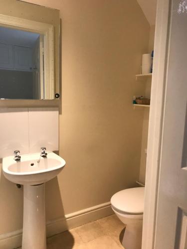 a bathroom with a sink and a toilet at Garstoncottage in Bath