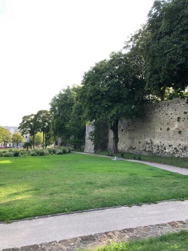 a stone wall with a grass field and a tree at Face aux remparts in Boulogne-sur-Mer