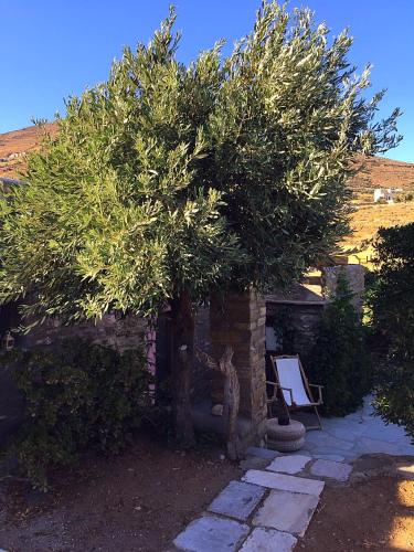 聖伊奧尼斯的住宿－Stone house Anemos，院子里的一棵树,下放椅子