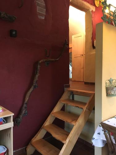 Φωτογραφία από το άλμπουμ του De Zoete Aagt σε Groesbeek