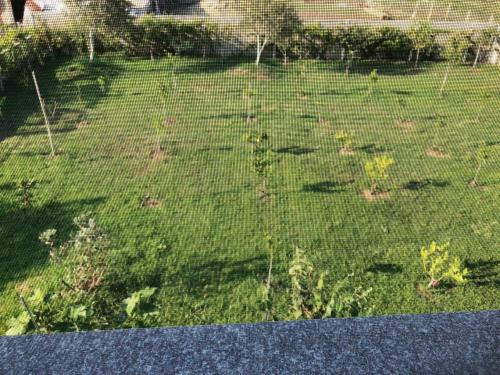 a fence in a yard with grass at Palma Apartments in Durrës