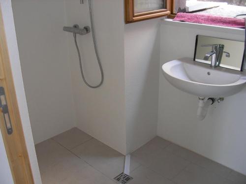 La salle de bains est pourvue d'un lavabo et d'une douche. dans l'établissement studios, à Belfort