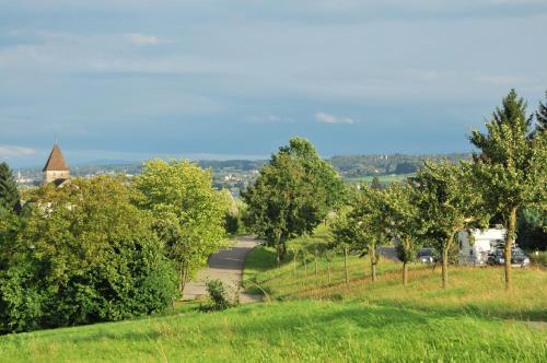 Naturlandschaft in der Nähe des Hotels
