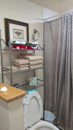 a bathroom with a toilet and a shower at Nani Kai Hale in Kihei