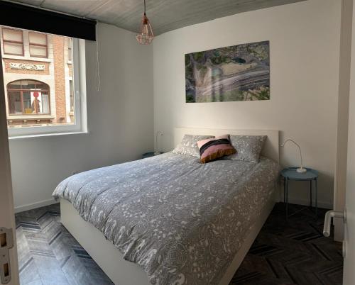 1 dormitorio con cama y ventana en Gîtes de Tournai - Les carrières, en Tournai