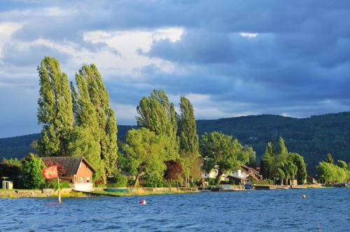 une maison sur la rive d'un lac avec des arbres dans l'établissement Hotel mein inselglück, à Île de Reichenau