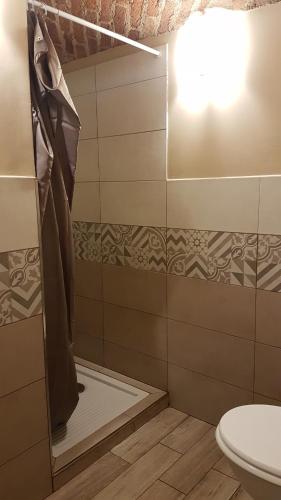 a bathroom with a shower and a toilet at Casa Curnet in Balme