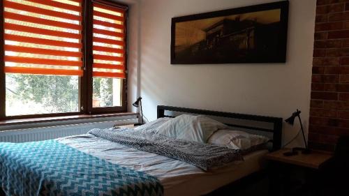 1 dormitorio con 1 cama con manta y 2 ventanas en Studio przy Wałowej, en Łańcut