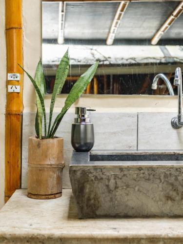 a plant sitting on a counter next to a sink at Universo Pol Bamboo Hostel in Morro de São Paulo