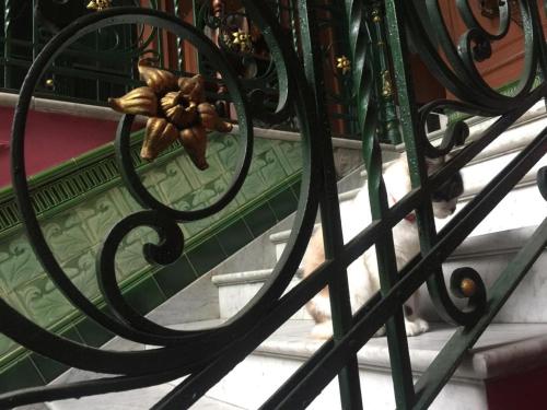 a cat is standing behind a wrought iron fence at El Secreto Casa Art in Montevideo