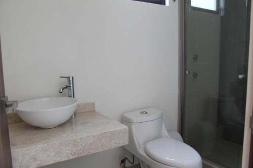 a bathroom with a sink and a toilet and a shower at Suits Murato in San Luis Potosí