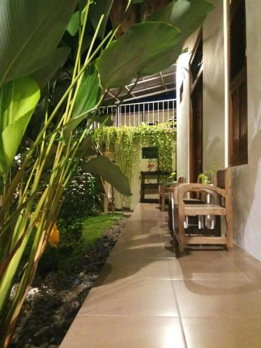 Taman di luar Doeloerkoe Homestay