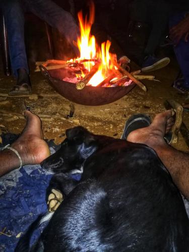 a dog laying on the ground next to a fire at Eco Lodge Haputale-Camping Sri lanka in Haputale