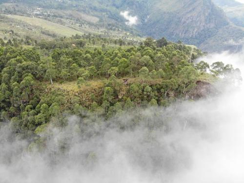 an image of a mountain with trees in the clouds at Eco Lodge Haputale-Camping Sri lanka in Haputale