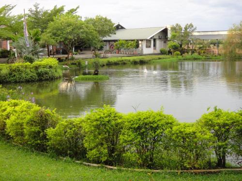 Un paisaje natural cerca de la casa de huéspedes