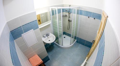 ein kleines Bad mit einer Dusche und einem Waschbecken in der Unterkunft Apartmán Lipno 50/18 in Lipno nad Vltavou