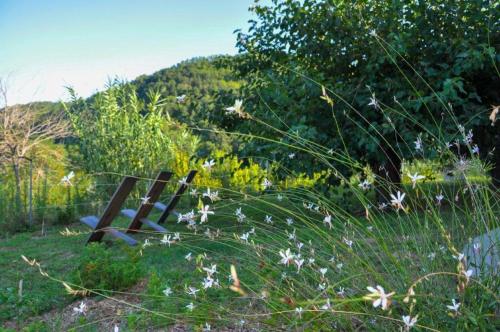 a wooden bench sitting in a field of flowers at Ca`Rosei in Monteciccardo