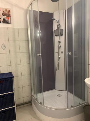 a shower with a glass door in a bathroom at Gîte Emma in Santo-Pietro-di-Tenda