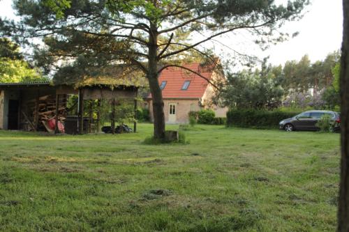 una casa con un árbol delante de un patio en Ferienhaus Amalienhof en Boek