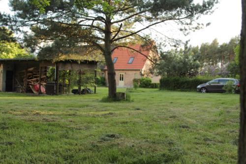 Κήπος έξω από το Ferienhaus Amalienhof