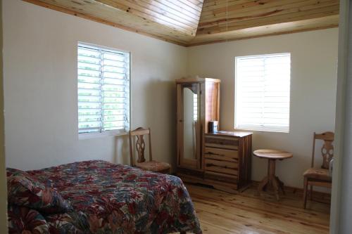 een slaapkamer met een bed, een dressoir en 2 ramen bij Finjam Cottage in Port Antonio