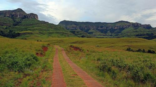 a dirt road in a field with mountains in the background at Sungubala Eco Camp in Bergville