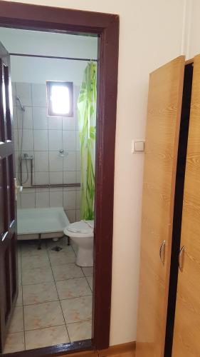 拉姆尼庫沃爾恰的住宿－Riviera Valceana，一间带卫生间和淋浴的浴室以及窗户。